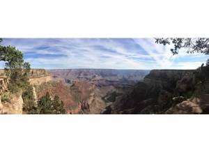 grand canyon vista