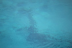 Sapphire Pool, Yellowstone NP.